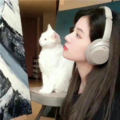 小病猫